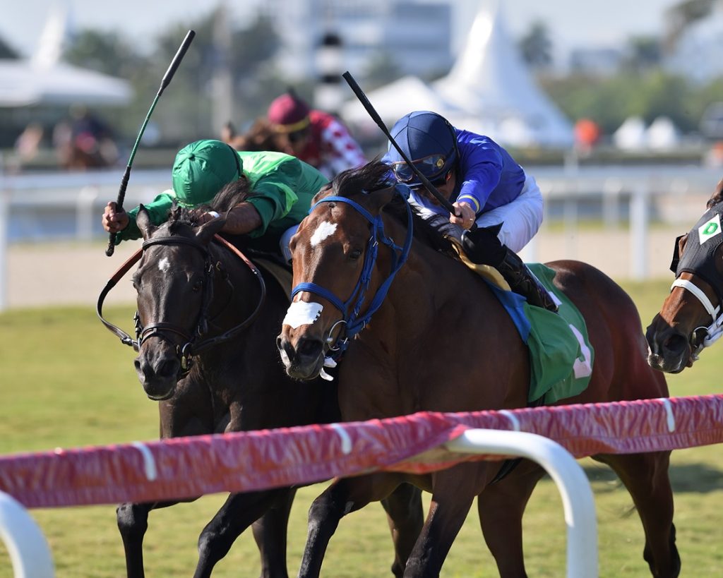 De Regreso - Gulfstream Park - Ryan Thompson/Coglianese Photo