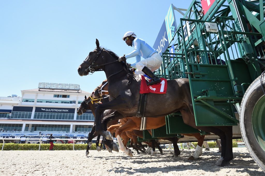 Gulfstream Park Start - Ryan Thompson Coglianese Photos