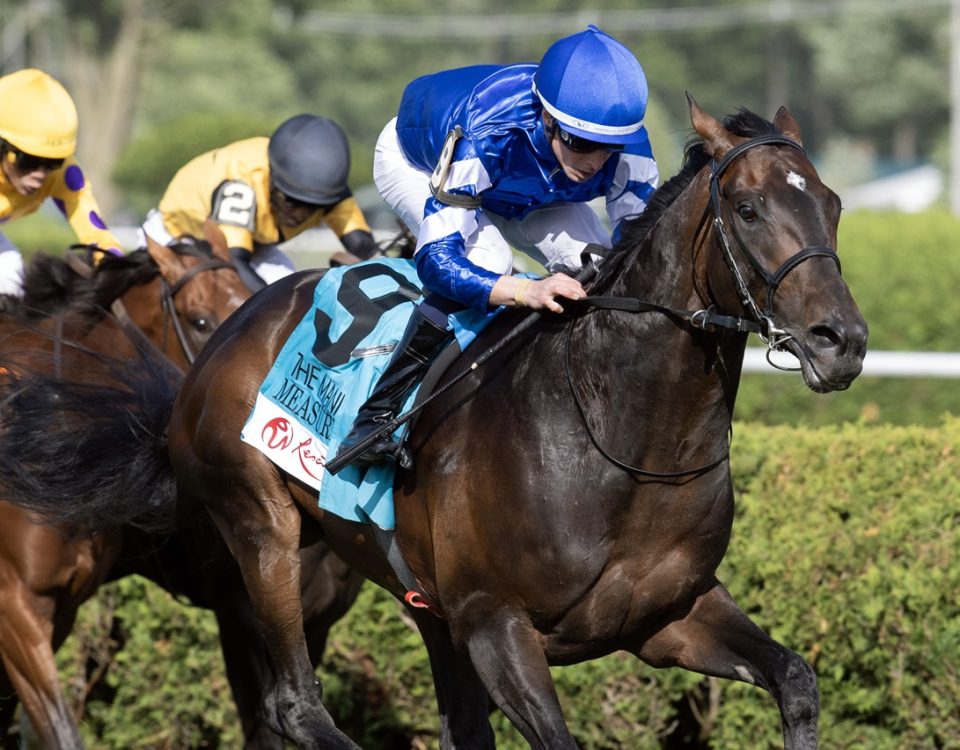 Measured Time - Manhattan Stakes - Barbara D. Livingston