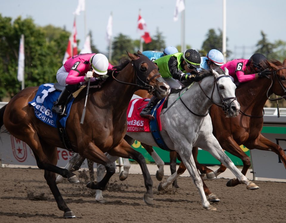 Palazzi - Eclipse Stakes G2 - Woodbine - foto Julie Wright - Daily Racing Form