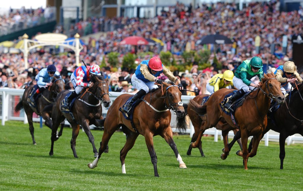 Shareholder (Not This Time) Norfolk Stakes (Grupo 2) foto crédito Ascot Media