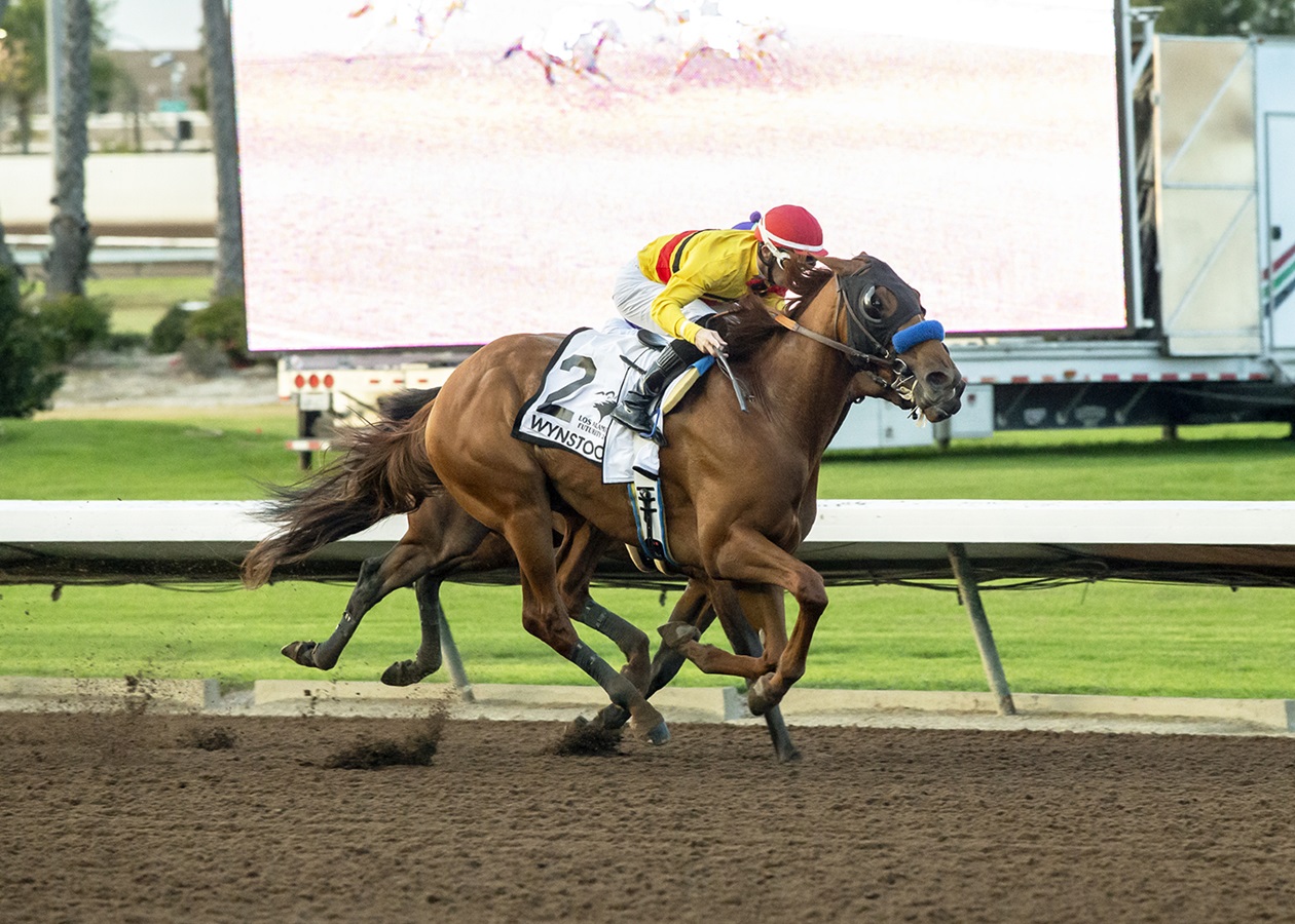 Potros De Baffert Por El Arrase En Los Alamitos Derby | DRF En Español