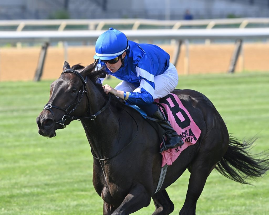 Cinderella's Dream - Belmont Oaks - Coglianese Photo