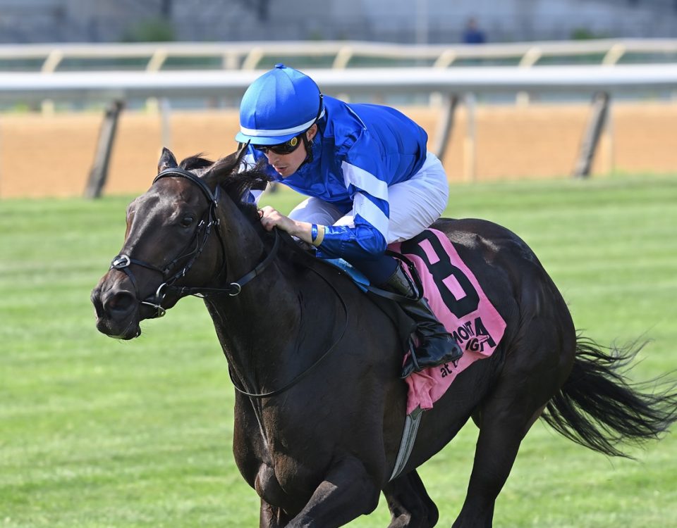 Cinderella's Dream - Belmont Oaks - Coglianese Photo