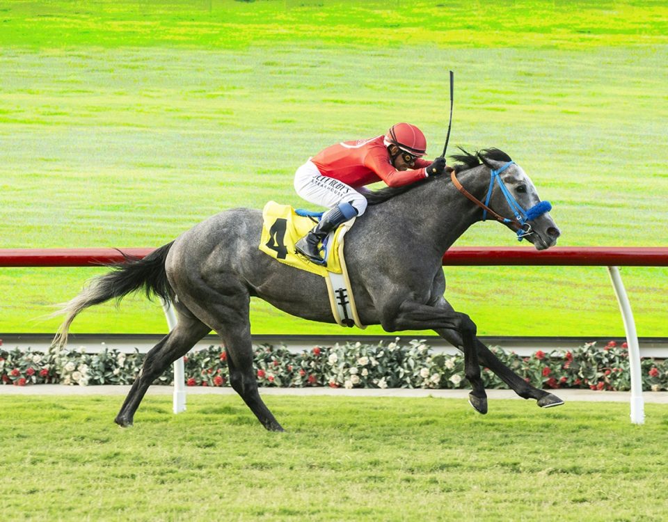 First Peace - Wickerr Stakes - Benoit Photo