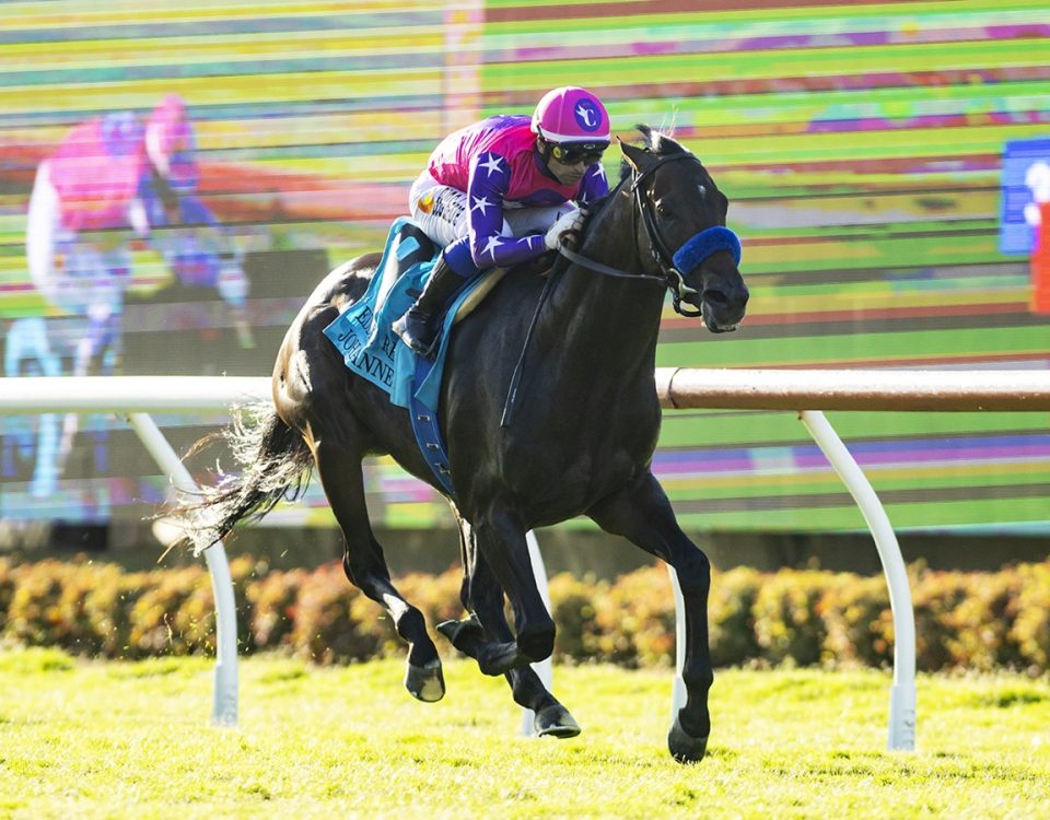 Johannes - Eddie Read Stakes G2T - Benoit Photo