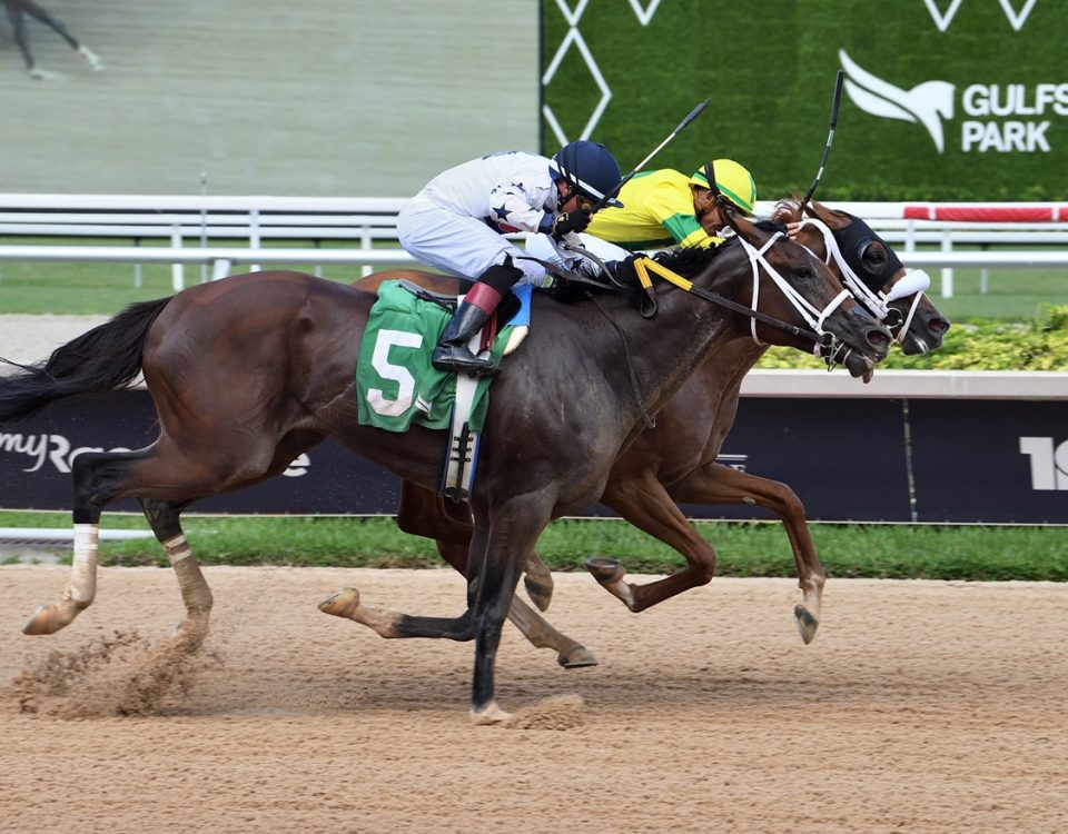 Real Macho - Carry Back Stakes - Coglianese Photos/Lauren King