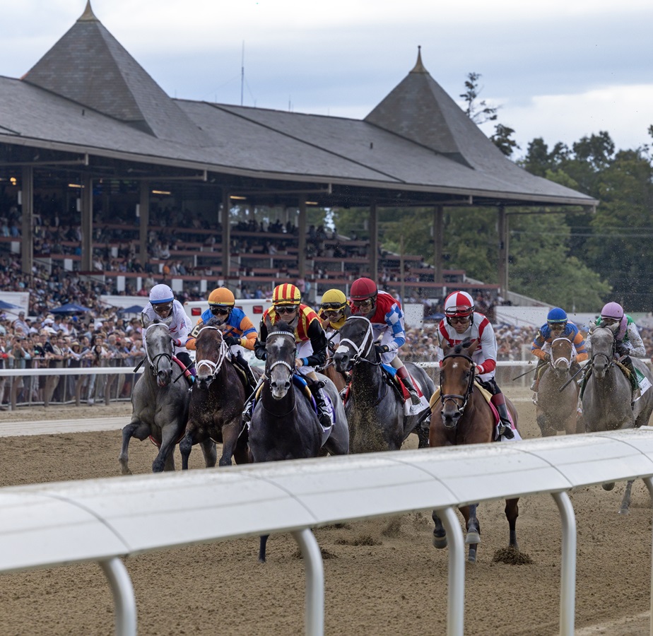 Saratoga - Action - Debra A. Roma