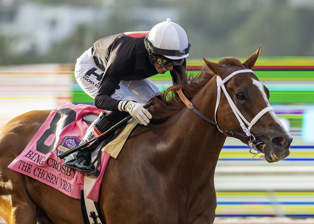 The Chosen Vron - Bing Crosby Stakes G1 - Benoit Photo