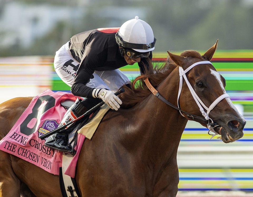 The Chosen Vron - Bing Crosby Stakes G1 - Benoit Photo