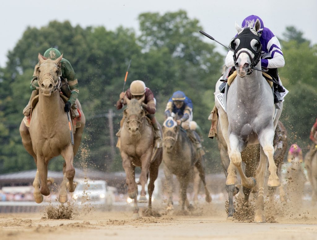 Arthur's Ride - Whitney G1 - Barbara D Livingston - DRF