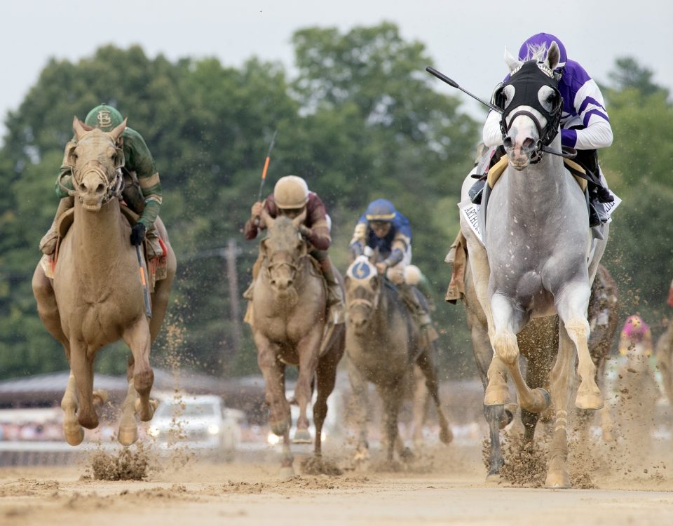 Arthur's Ride - Whitney G1 - Barbara D Livingston - DRF