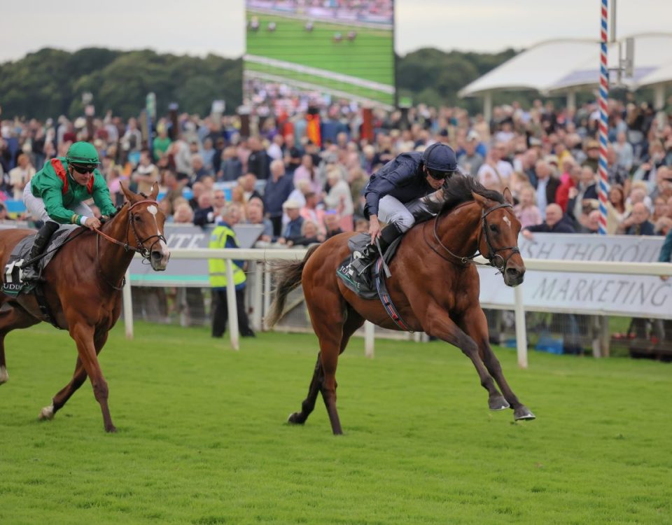 CITY OF TROY - Juddmonte International Stakes - Eclipse Sportwire photo