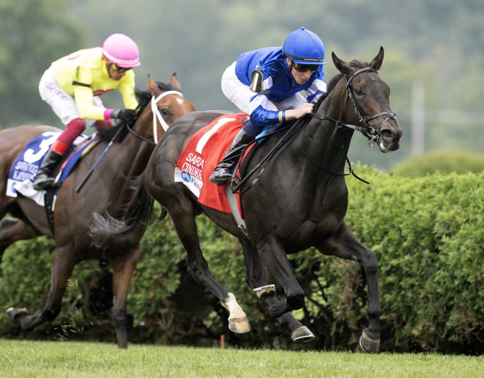 Cinderella's Dream - Saratoga Oaks - Barbara D. Livingston