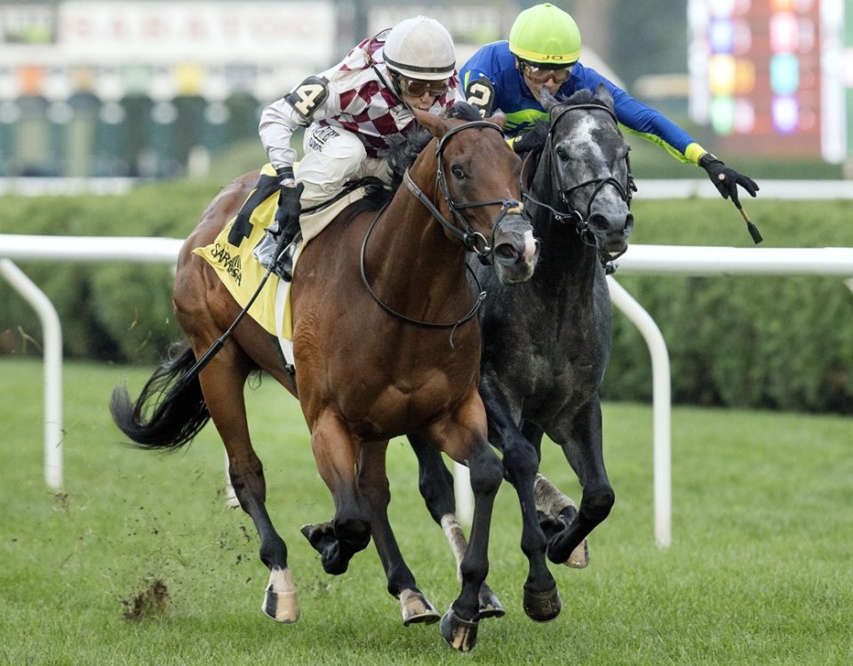 Courtly Banker - Rick Violette Stakes - DRF Barbara Livingston