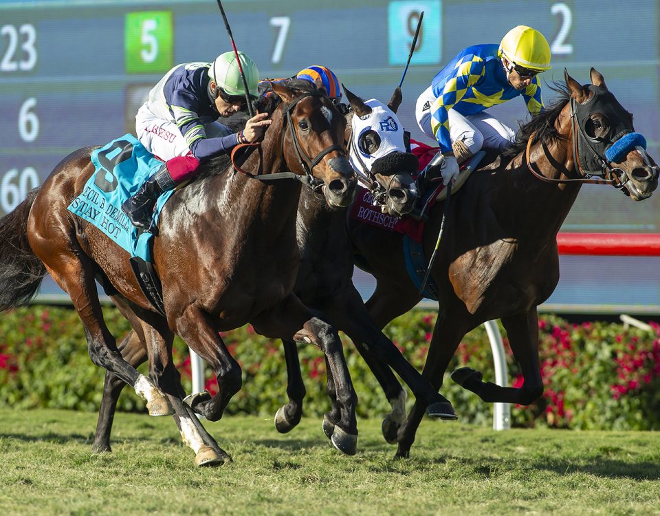 Del Mar - Turf Action - Benoit Photo