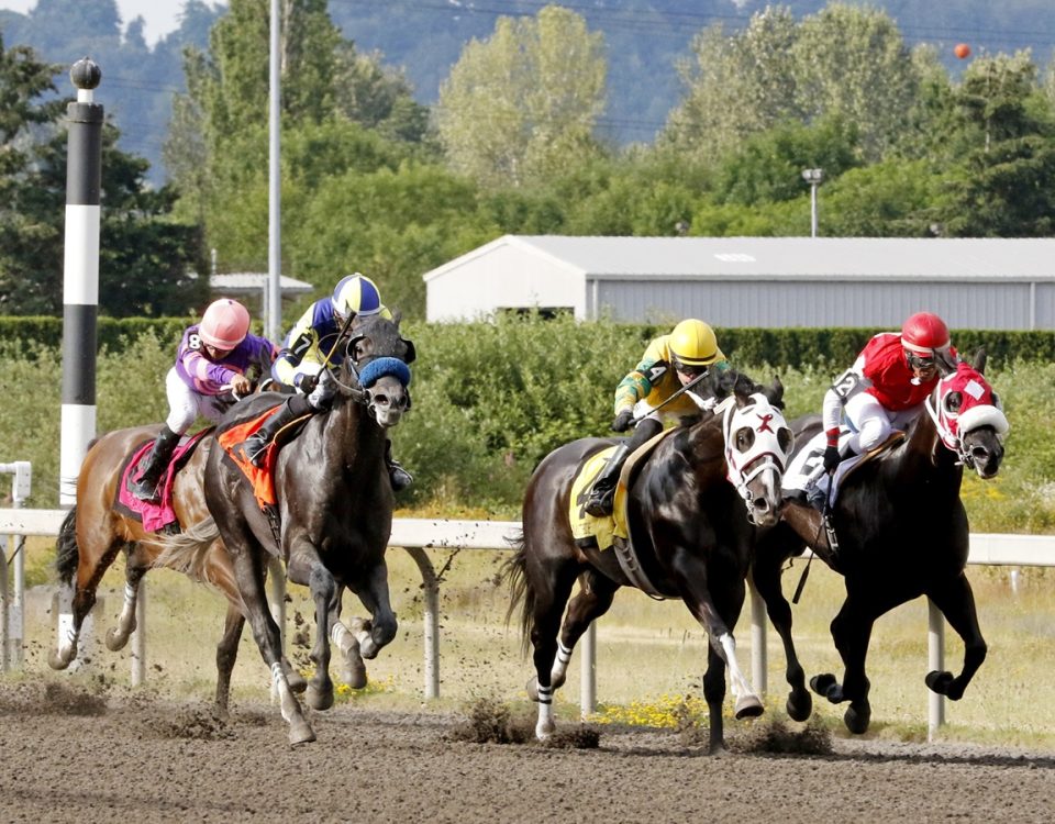 Emerald Downs Scenic - Emerald Downs