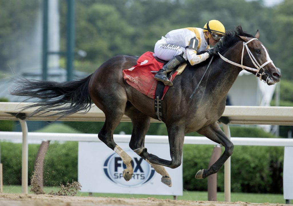 Ferocious - Saratoga - Barbara D. Livingston