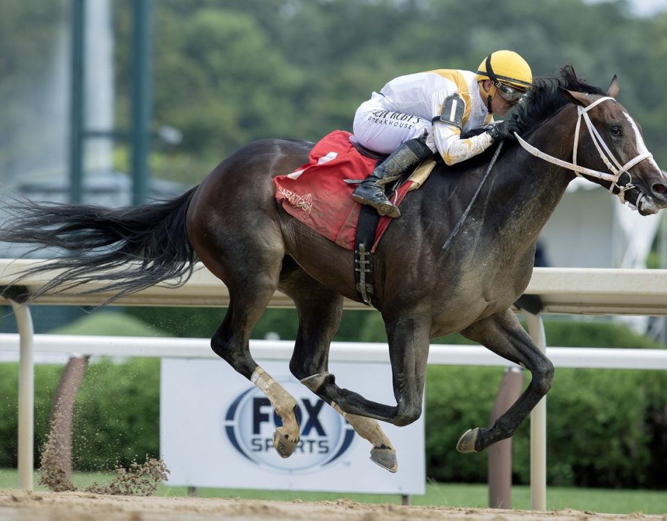 Ferocious - Saratoga - Barbara D. Livingston