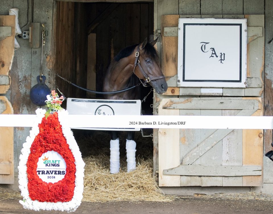 Fierceness - Saratoga - Barbara D. Livingston