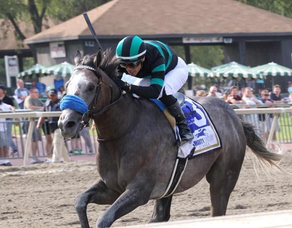 Goulds Gold - Smarty Jones Stakes - Nikki Sherman/EQUI-PHOTO