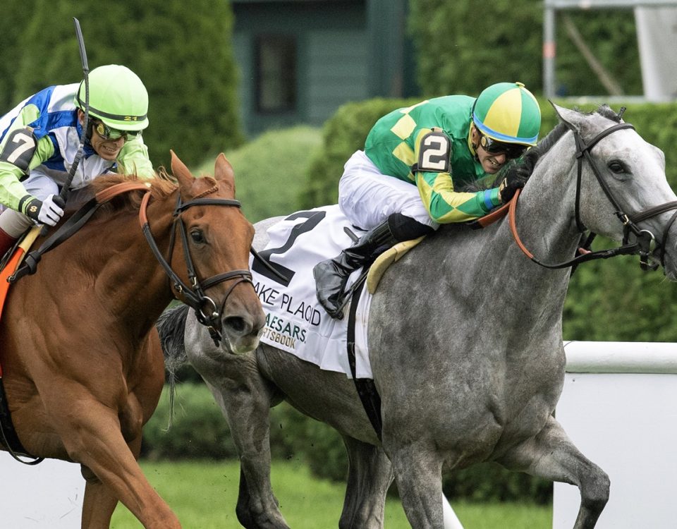 Grayosh - Lake Placid Stakes G2T - DRF Barbara Livingston