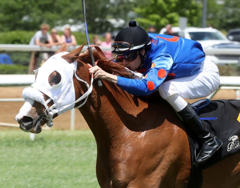 Henry Mac - Belterra Park - Coady Media