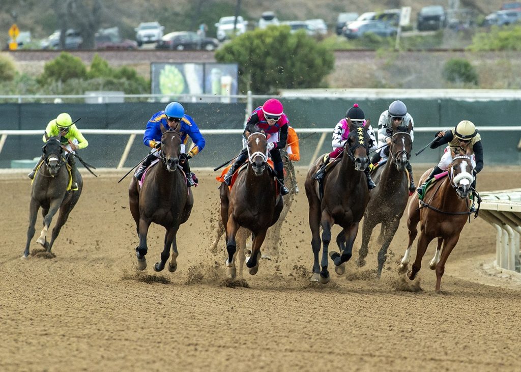 In the Air Tonight - California Association Stakes - Benoit Photo