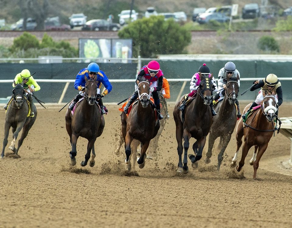 In the Air Tonight - California Association Stakes - Benoit Photo