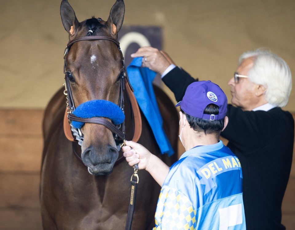 Nysos - Bob Baffert - DRF Barbara Livingston