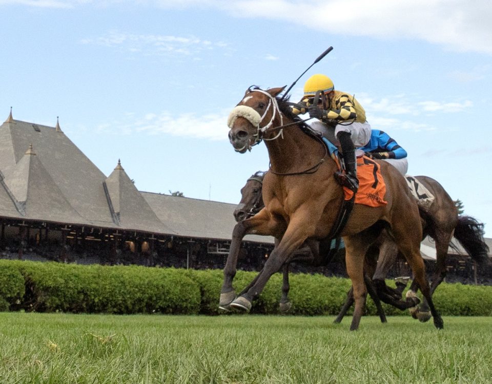 Totally Justified - P.G. Johnson Stakes - DRF Barbara Livingston