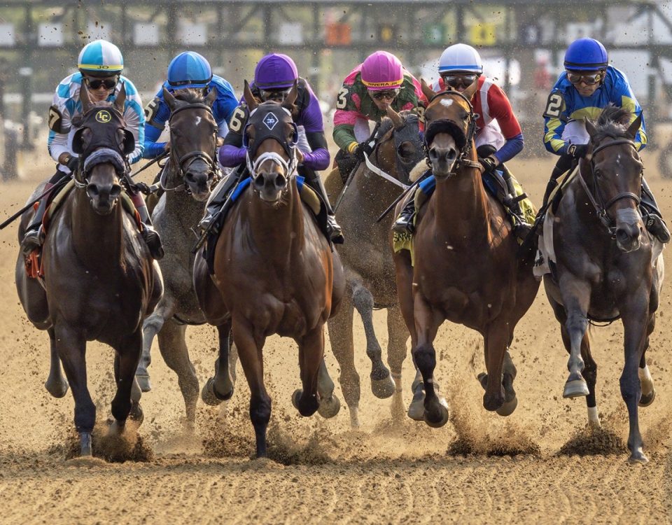 Tricky Temper - Saratoga Scenic - DRF Debra A. Roma