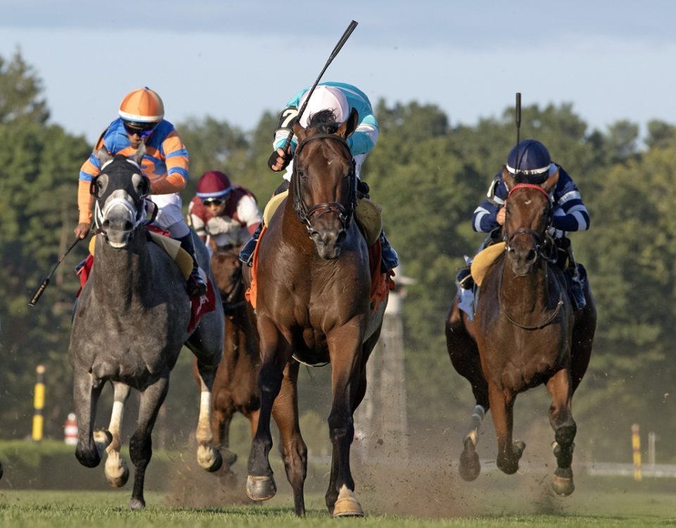 Zulu Kingdom - With Anticipation Stakes G3T - DRF Barbara Livingston