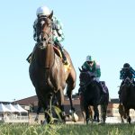 Cogburn - Kentucky Downs Turf Sprint G2T - Coady Media