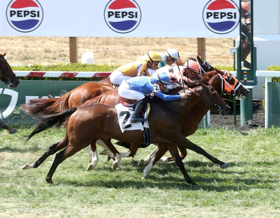 Dunedin - Kentucky Downs - Coady Media