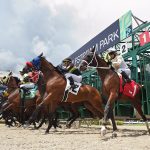 Gulfstream Tapeta Scenic - Ryan Thompson/Coglianese Photo