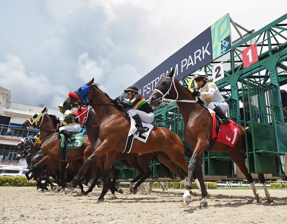 Gulfstream Tapeta Scenic - Ryan Thompson/Coglianese Photo