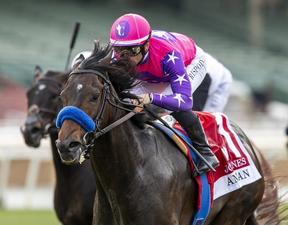 Johannes - American Stakes G3T - Benoit Photo