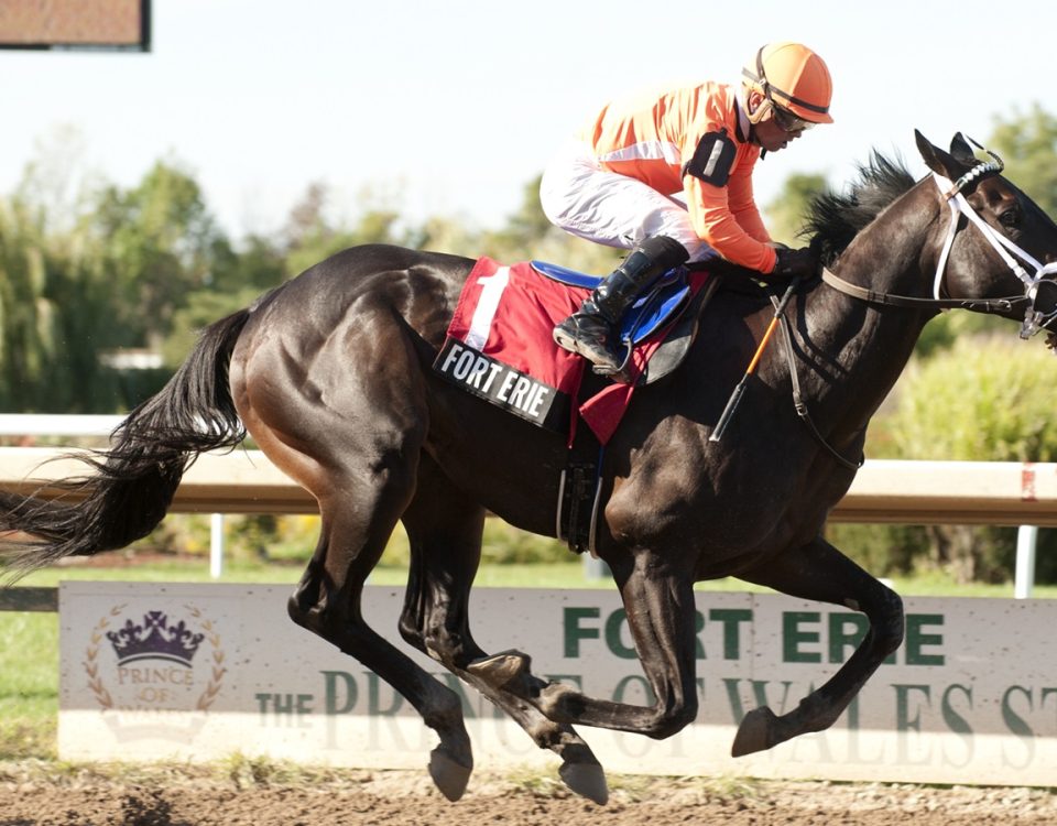 Junior Hot Shot - Lake Erie Stakes - Michael Burns