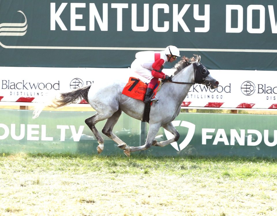 Limited Liablitiy - Nashville Gold Cup Stakes - Coady Media