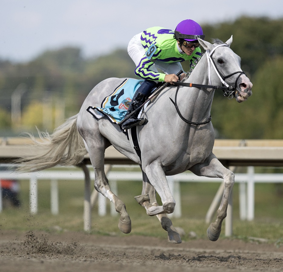 Next - Greenwood Cup G3 - DRF Barbara Livingston