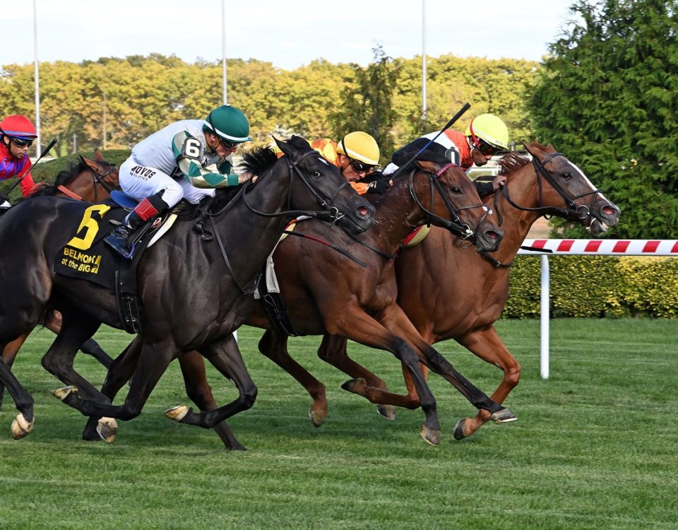 Ocean Club - Belmont at the Big A - Coglianese Photo