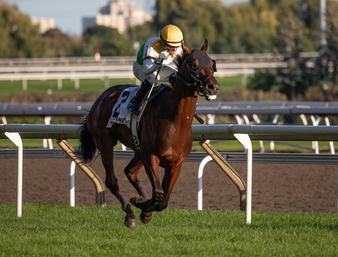 Roscar sacó la máxima nota para ganar el Breeders’ Stakes en Woodbine