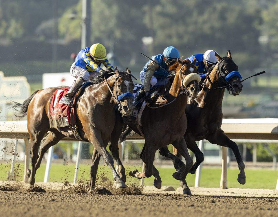 Subsanador - California Crown Stakes G1 - Benoit Photo