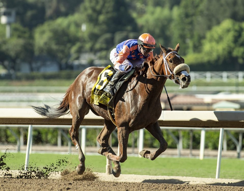 Sugar Fish - Zenyatta Stakes G2 - Benoit Photo