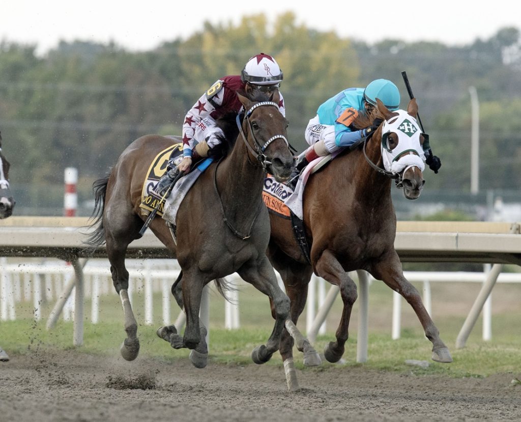 Thorpedo Anna - Cotillion Stakes G1 - DRF Barbara Livingston