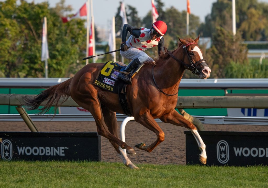 Win For The Money - Woodbine Mile G1T - DRF Julie Wright