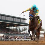 American Pharoah - Breeders Cup Classic 2015 - DRF Barbara Livingston