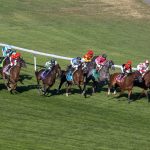 Aqueduct Turf racing scenic - DRF Barbara Livingston