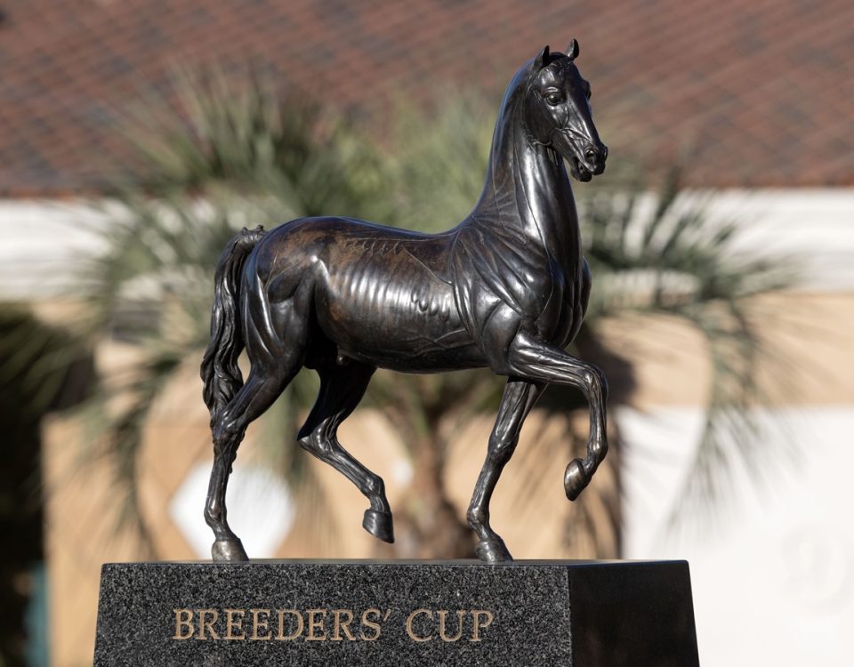 Breeders' Cup Del Mar - DRF Barbara Livingston